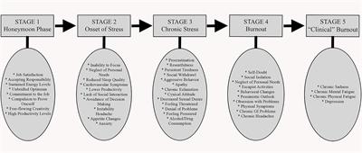 Veterinarian burnout demographics and organizational impacts: a narrative review